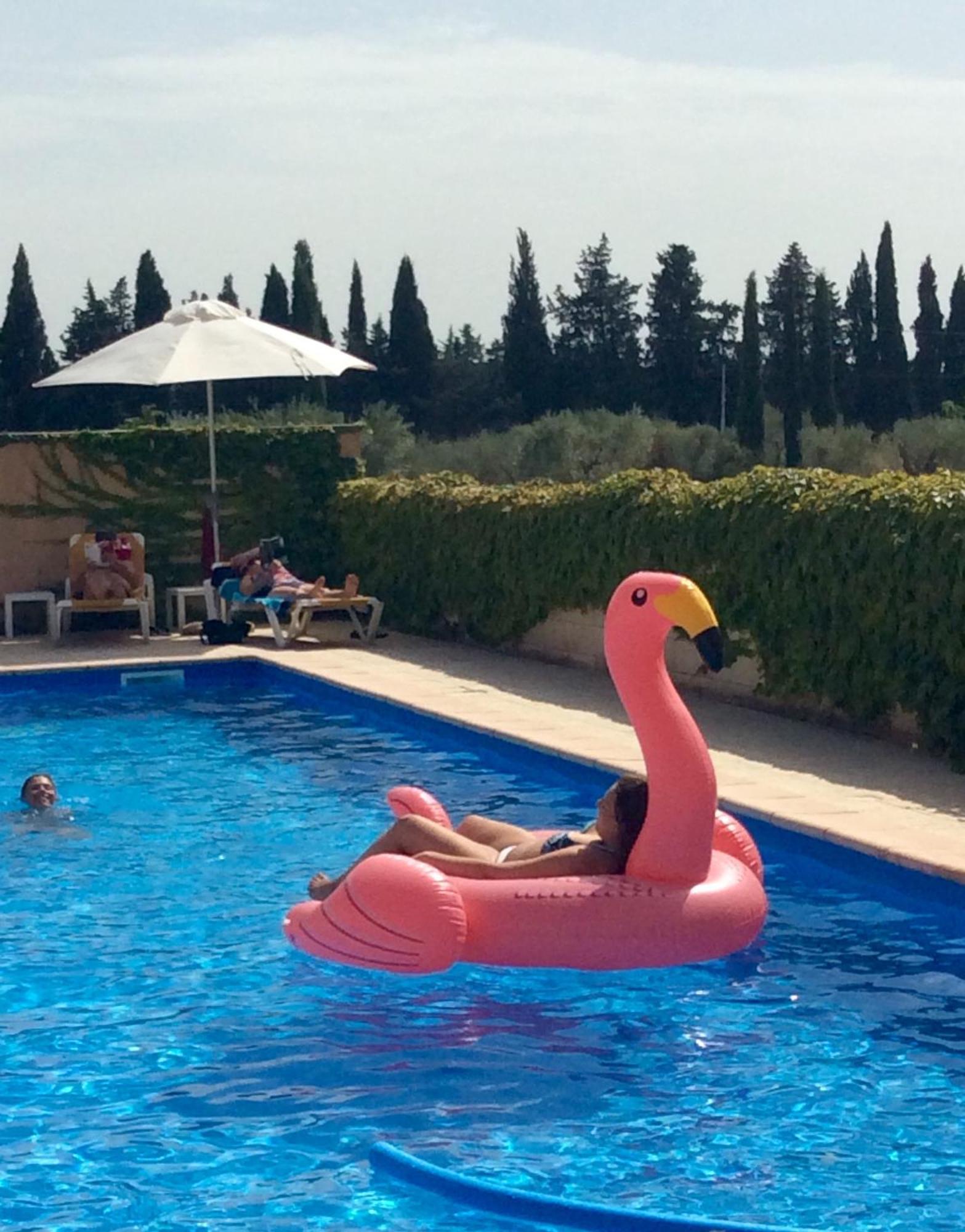 Hotel Terriciae Aux Portes De Maussane Les Alpilles Εξωτερικό φωτογραφία